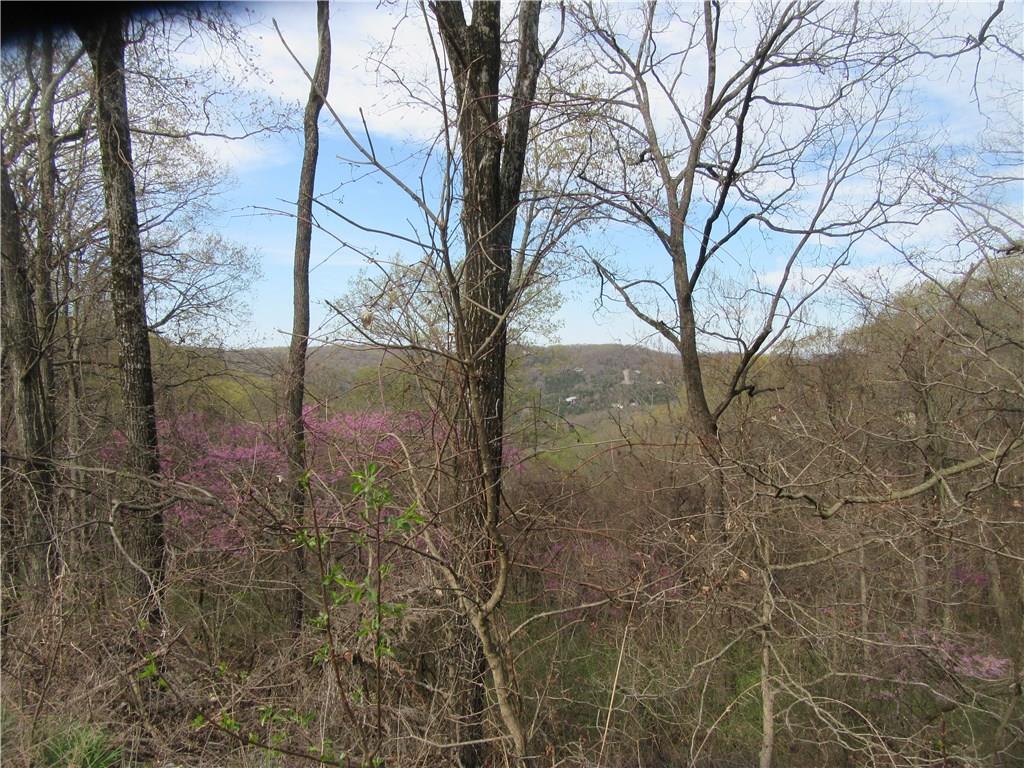 VIew of mountain in background from behind wooded lot
