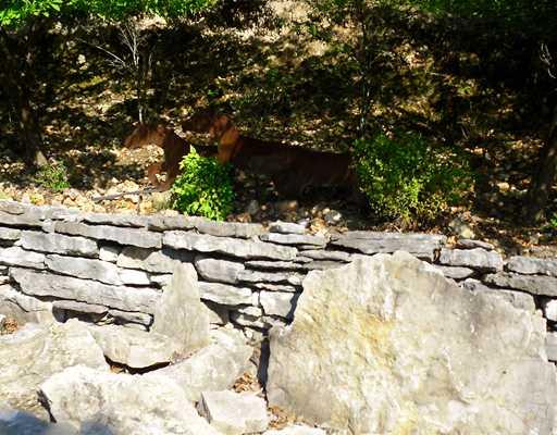 View of stone retainer wall behind rocks