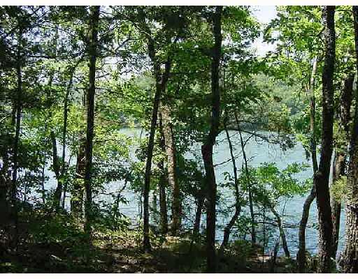 View of the beautiful blue-green waters of Beaver Lake behind the hardwood
