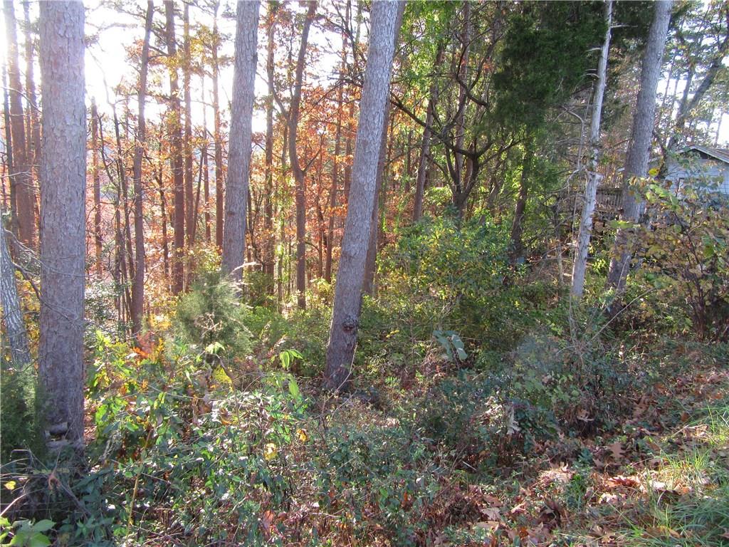 View of wooded area of lot
