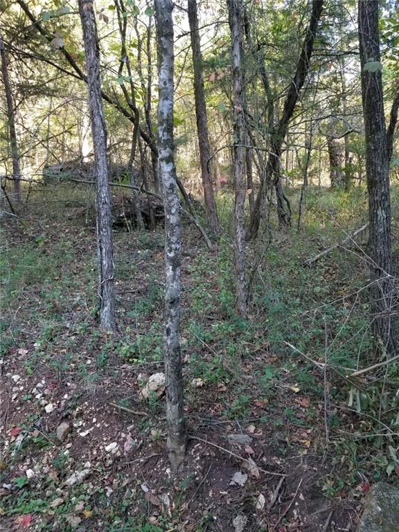 Wooded area of lot with small hardwood